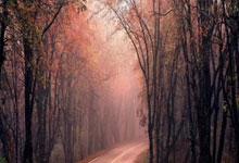 乐鱼体育新闻-欧洲杯比赛风云再起，名副其实震撼人心