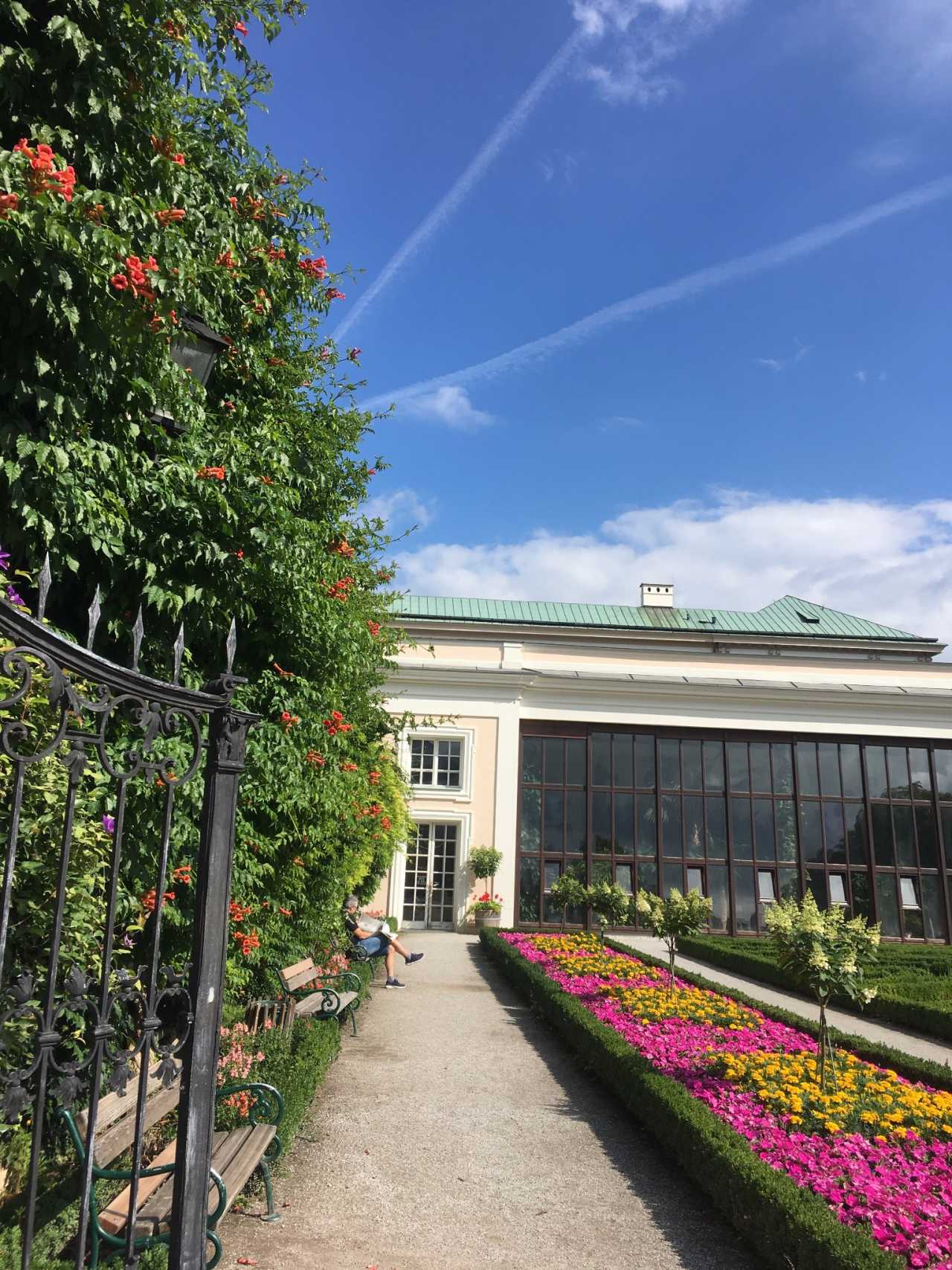 捷克小胜斯洛伐克,晋级前景一片光明的简单介绍