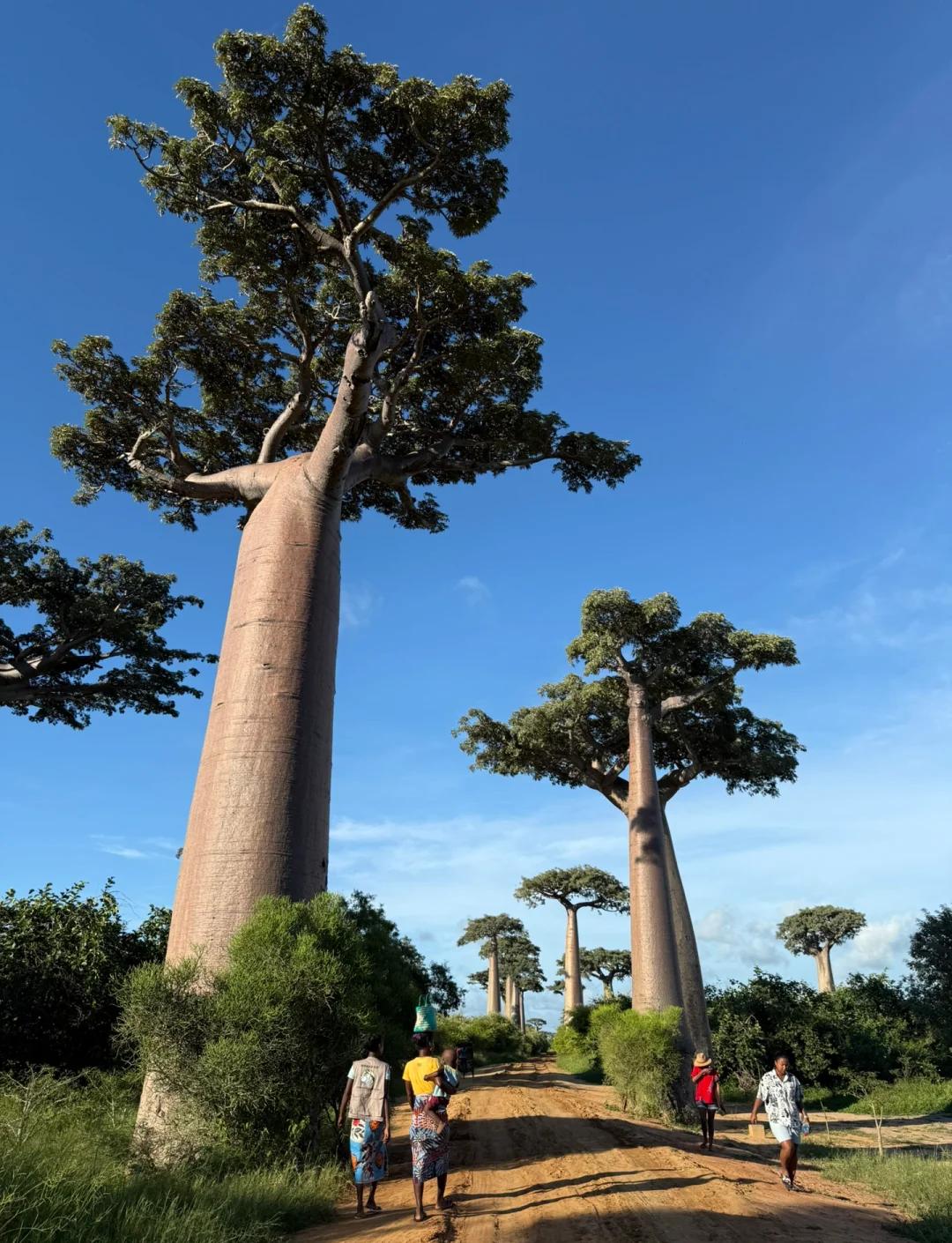 乐鱼体育在线登录-非洲代表积极参与，带来惊喜的简单介绍